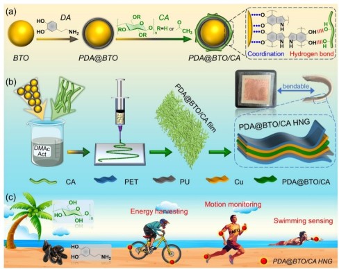 自供电纳米发电机：开启可穿戴生物检测新时代